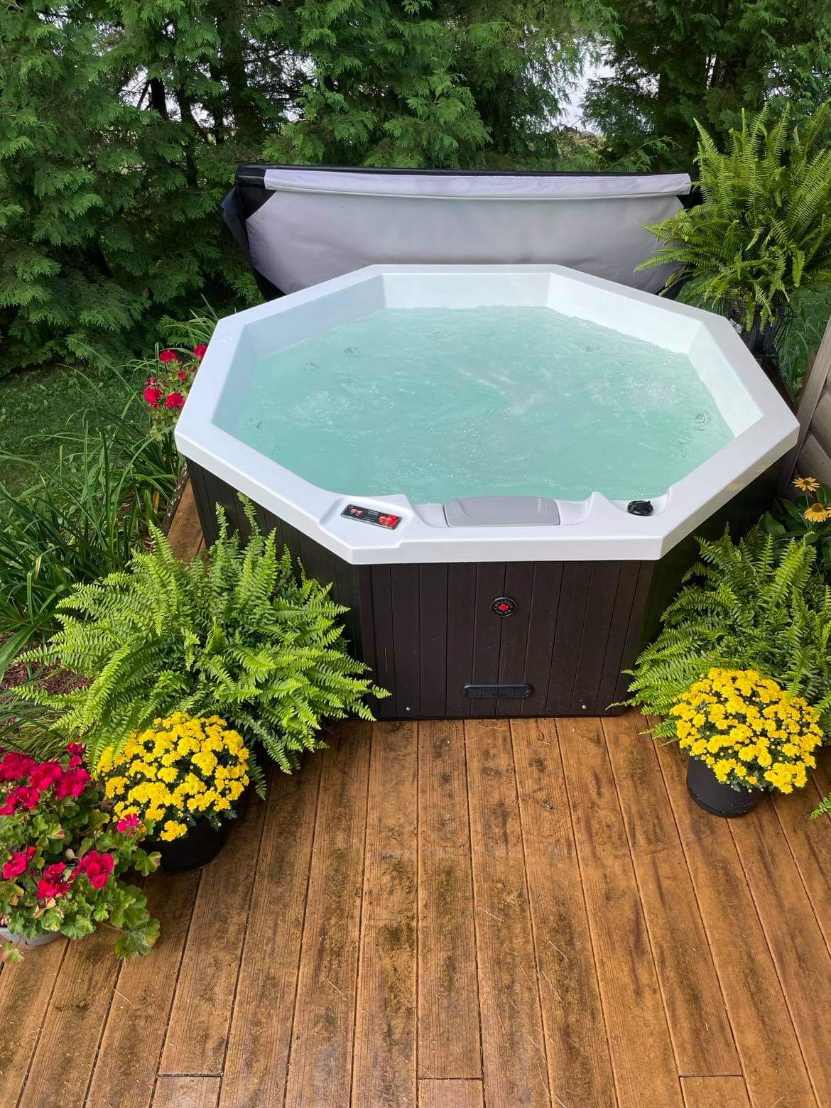 Canadian Spa Company Muskoka 5-Person 14-Jet Portable Hot Tub